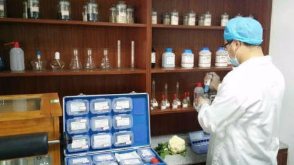 廣州農(nóng)副產(chǎn)品批發(fā)市場 蔬菜配送服務助力酒店、學校與工廠需求