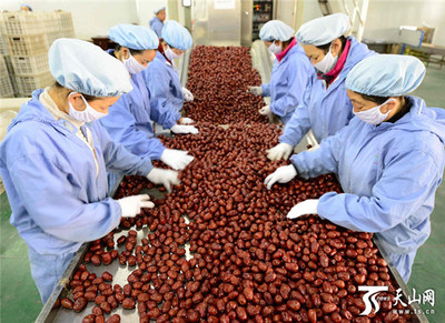 新疆阿拉爾墾區 紅棗嚴格分級打造品牌，助推農副產品升級