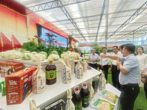 2025中國榆中高原夏菜新品博覽會盛大開幕，1087個新品種引領農(nóng)業(yè)創(chuàng)新