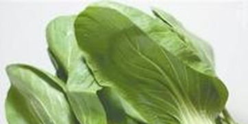 東莞農(nóng)副產(chǎn)品智能配送中心全面啟動 高效服務惠及超兩萬居民