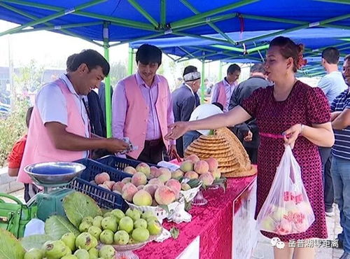 農副產品促銷會 打通產銷對接，助力脫貧攻堅的堅實橋梁