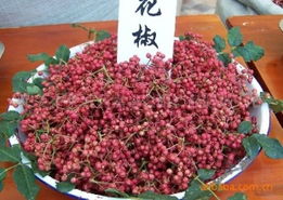 萊蕪市萊城區(qū)嘉譽(yù)農(nóng)副產(chǎn)品購銷中心調(diào)味香料與特色農(nóng)副產(chǎn)品全覽